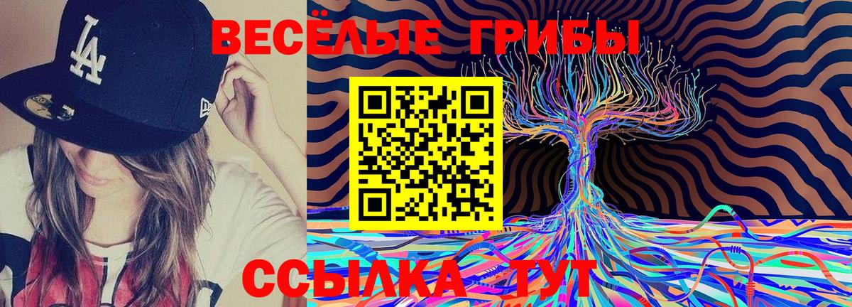 Галлюциногенные грибы Psilocybine cubensis  Вход с VPN  Малоярославец 