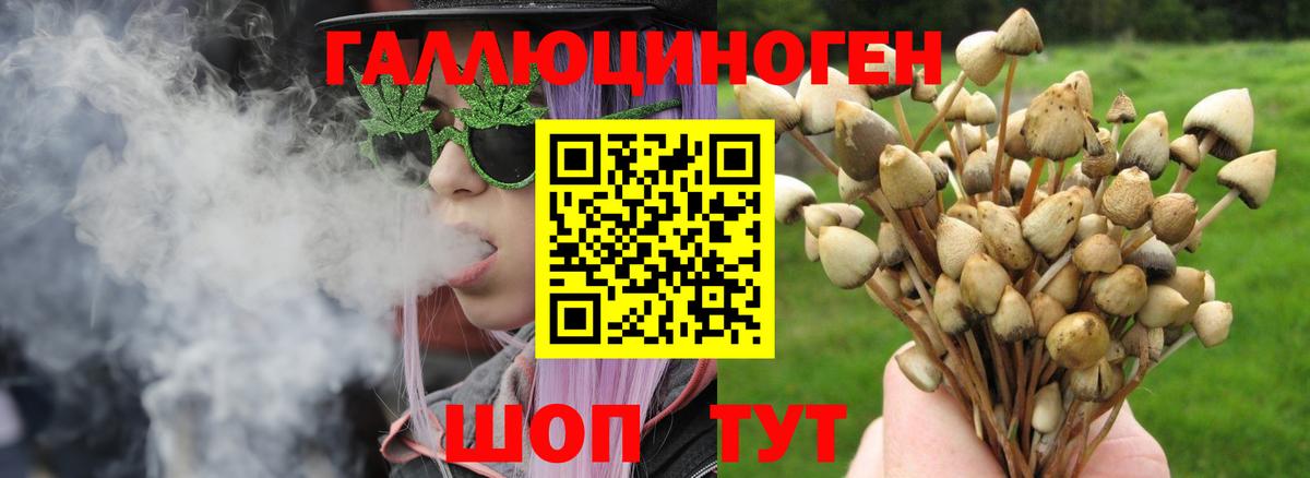 Псилоцибиновые грибы ЛСД Малоярославец